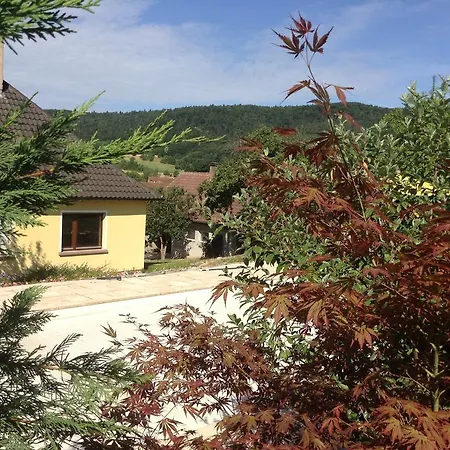 Chambres D'hotes Pensionat Wingen